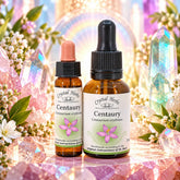 Centaury