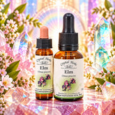 Elm