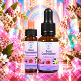 Soul Connection Essence, 25ml