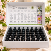 Set of Traditional English Flower Essences by Crystal Herbs
