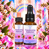 Transforming Addiction Essence, 25ml