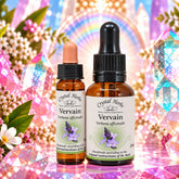 Vervain