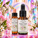 Water Violet