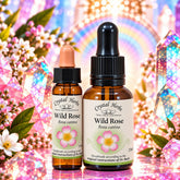 Wild Rose
