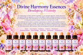 Divine Harmony Essence Set