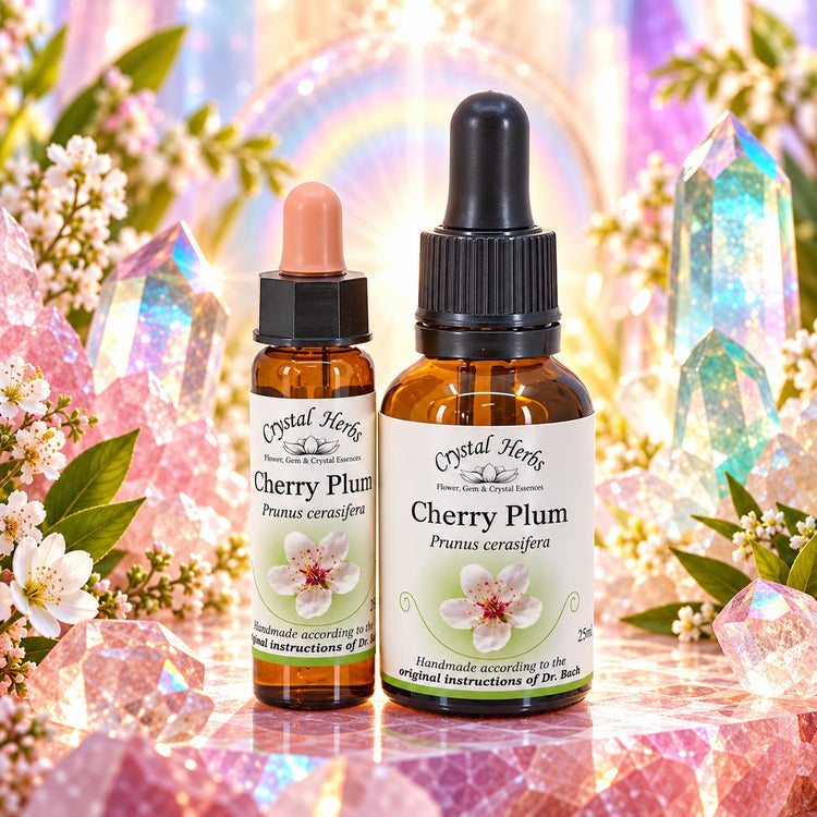 Cherry Plum