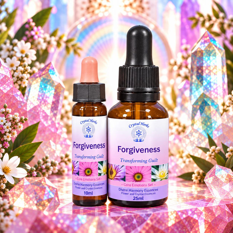 Forgiveness Essence, 25ml