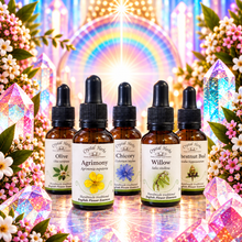 Set of Traditional English Flower Essences by Crystal Herbs