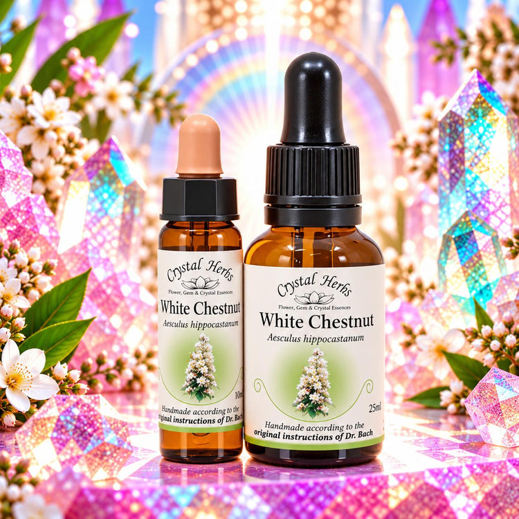 White Chestnut