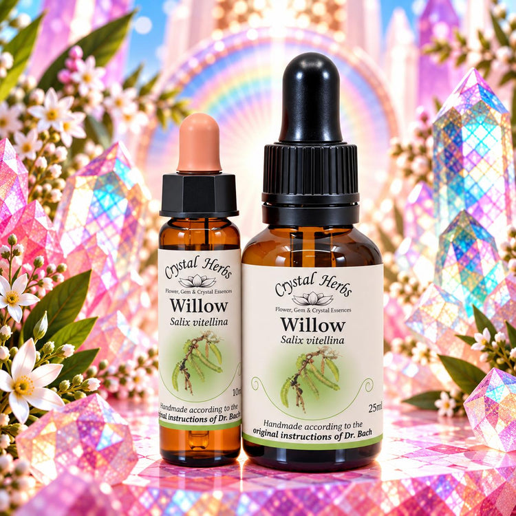 Willow