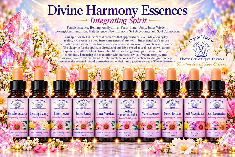 Divine Harmony Essence Set