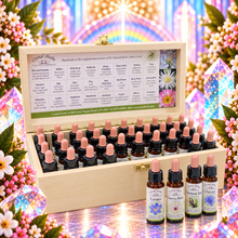 Set of Traditional English Flower Essences by Crystal Herbs
