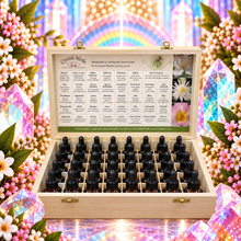Set of Traditional English Flower Essences by Crystal Herbs