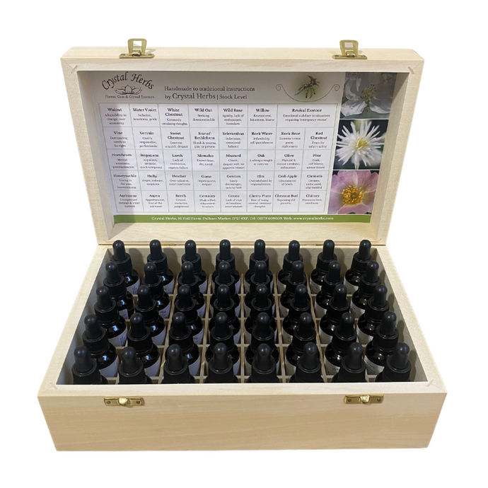 Set of Traditional English Flower Essences by Crystal Herbs