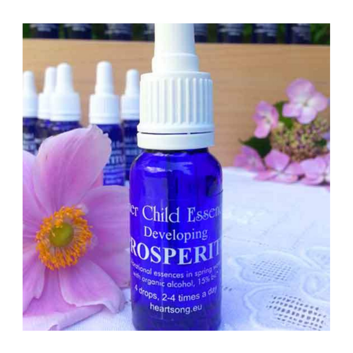 Developing Prosperity Essence - Healing the Inner Child, 15ml