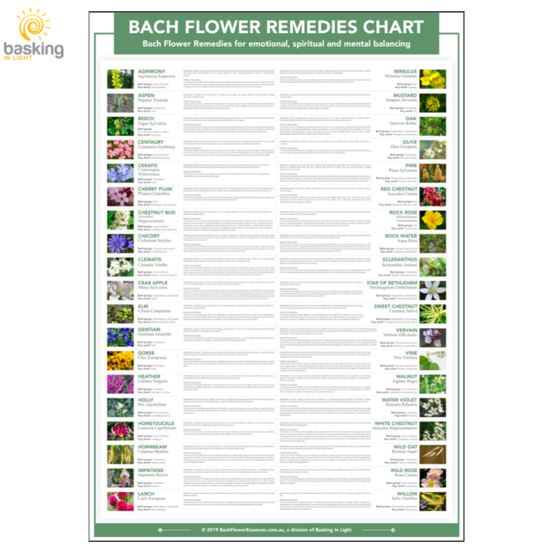 Bach Flower Remedies Diagnostic Chart - A2 Poster